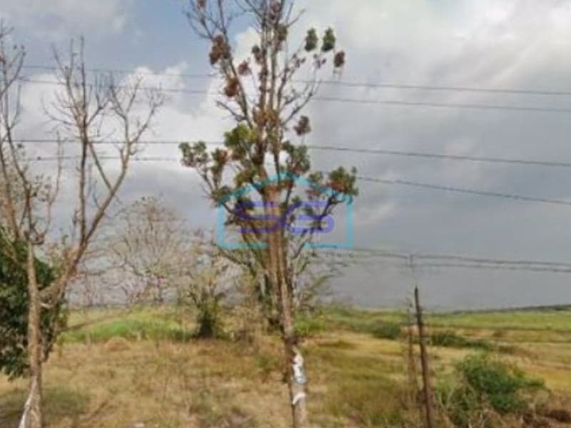 Land for Sale Located in Jatis, Mojokerto, East Java Area 8,800 sqm