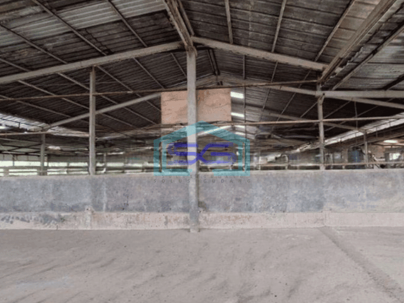 Dijual Gudang Ada Kantor Lokasi Strategis Luas Bangunan 1600 m² di Parung Panjang Bogor
