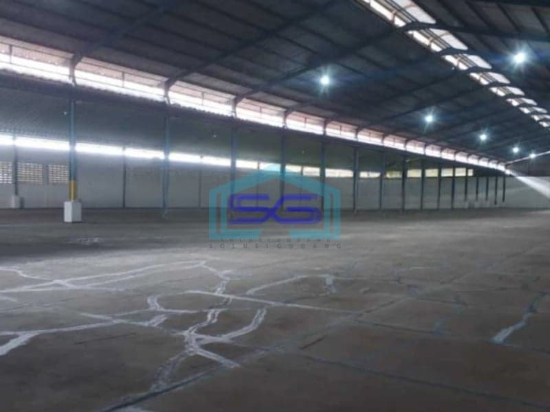 Disewakan Cepat Gudang Lokasi Rangkasbitung Lebak Banten Luas Tanah  5000 m²