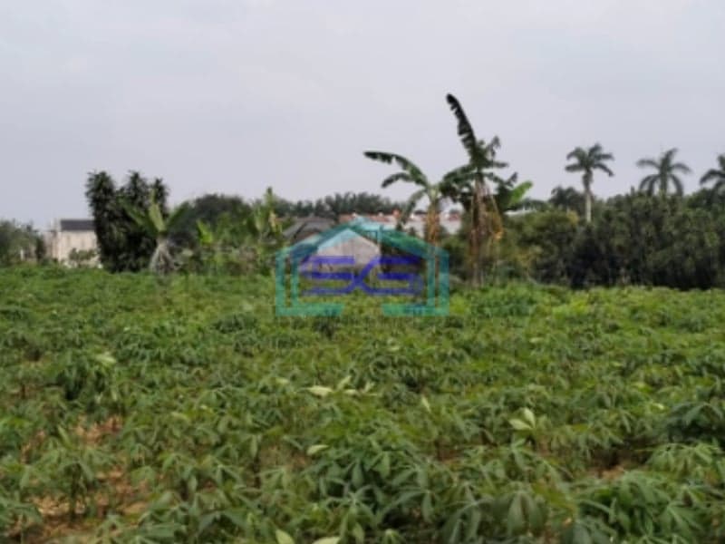 Dijual Tanah Bagus Strategis Di Tajur Halang Bogor Bebas Banjir