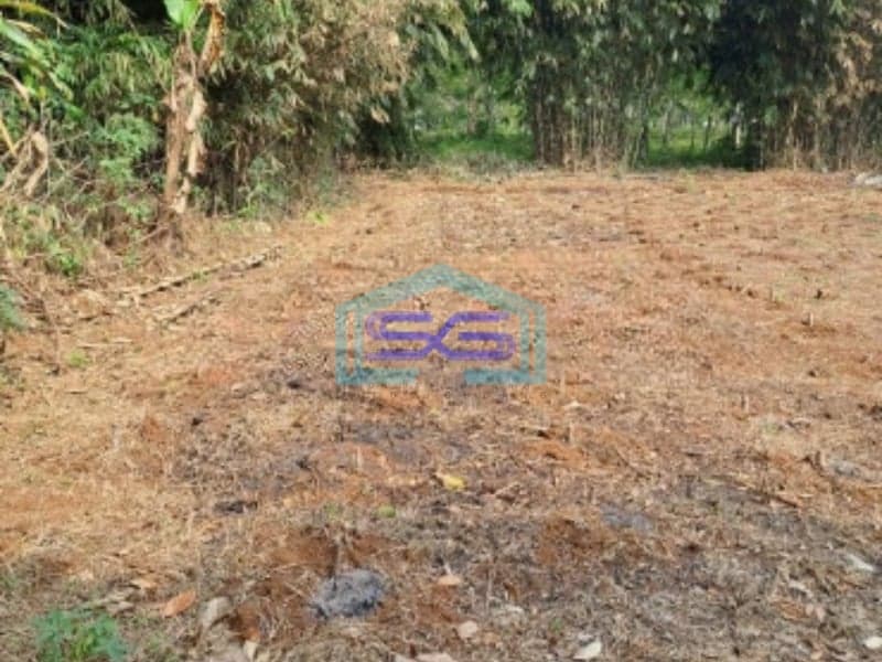 Dijual Tanah di Daerah Cibodas Rumpin Bogor Luas 1000m2