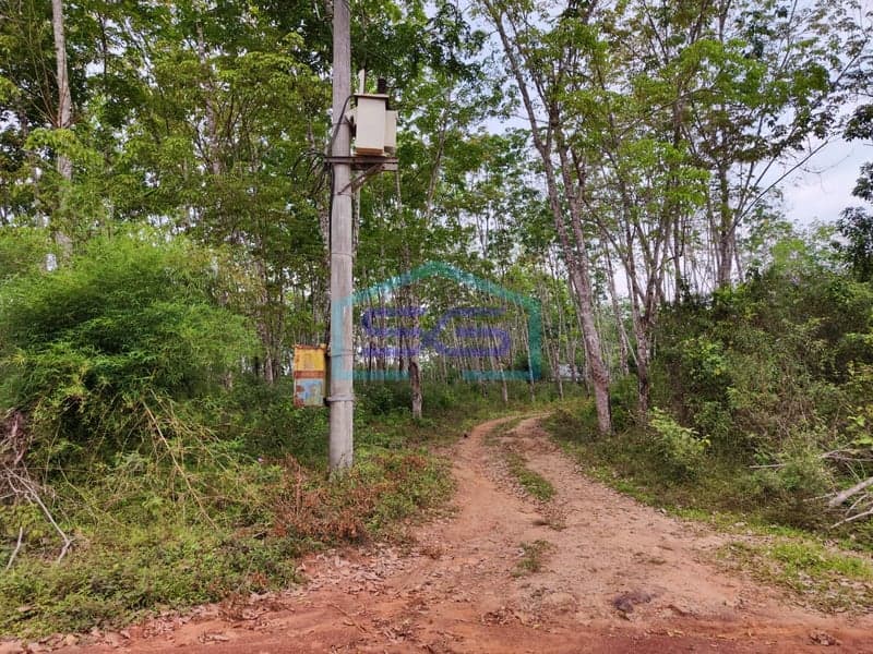 Land for Sale in Banyuasin Regency, South Sumatra - 14 Hectares