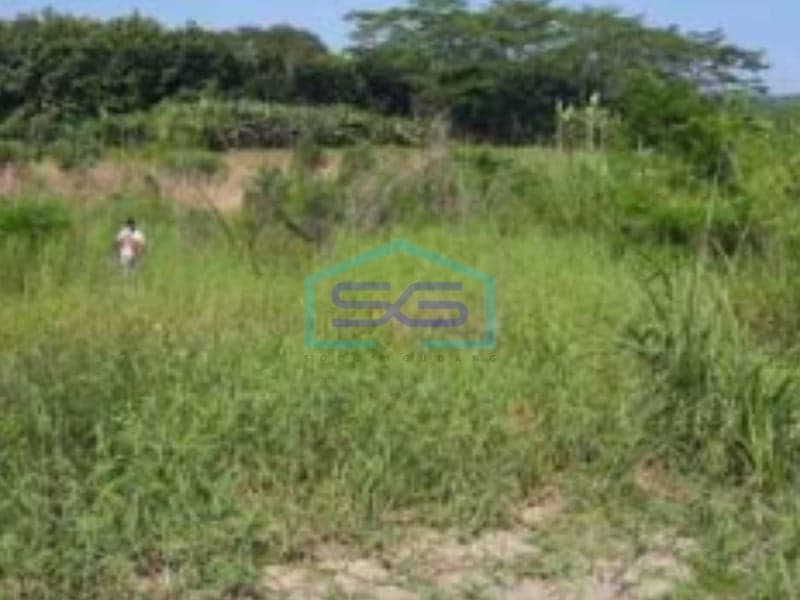 For Sale Freehold Land in Gunung Pati Semarang