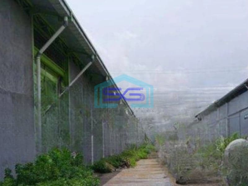 Disewakan Gudang di Bayur Sepatan Tangerang