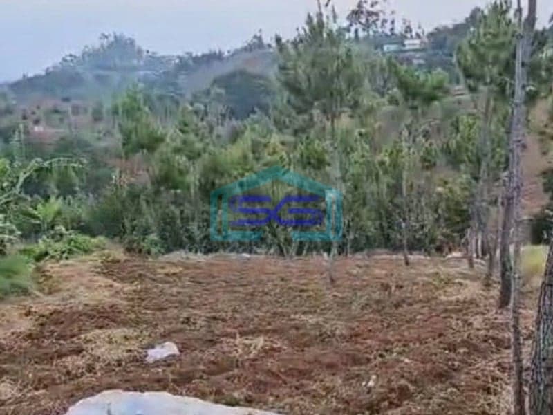 Dijual Tanah di Cimenyan Bandung Luas Tanah 16 Ha