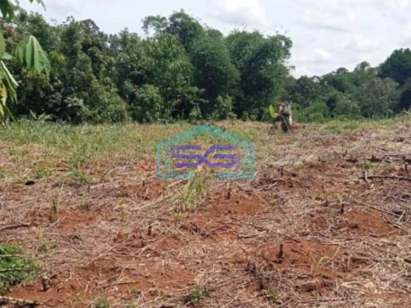 Dijual Tanah Bagus Datar Cikembar Sukabumi Luas Tanah 24000m2