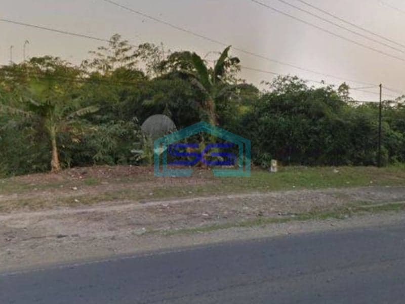 Dijual Tanah Cepat Dipinggir Jalan Raya Sadang Subang Luas 18 Ha