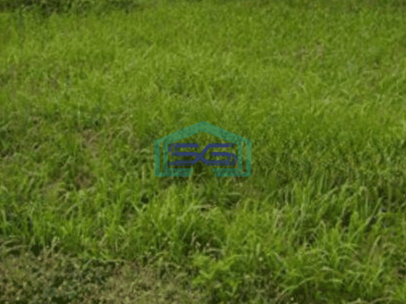 Dijual Tanah Cikupa Mas Dekat Bitung Jatake Tangerang Banten