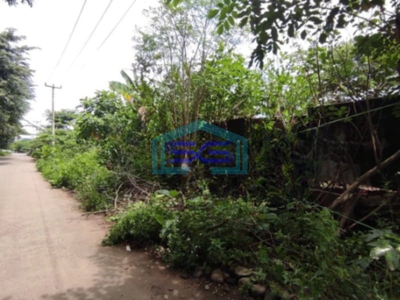 Dijual Tanah Cocok Bangun Pabrik atau Gudang Luas Tanah 3535m2 di Narogong Bekasi