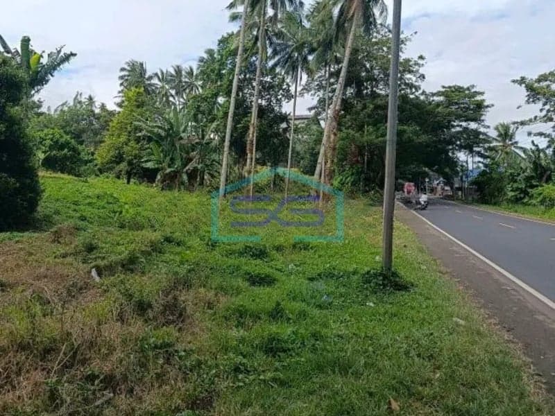 For Sale: 9 Hectare Land in Kauditan, North Minahasa, North Sulawesi