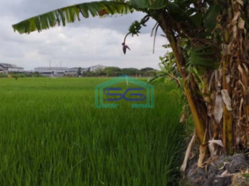Dijual Tanah Industri Di Bambe Driyorejo Gresik Jawa Timur Luas Tanah 5030 m²