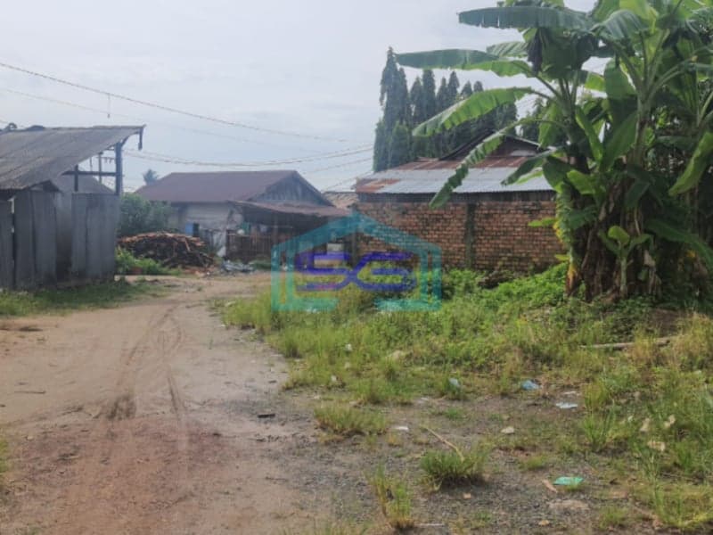Dijual Tanah Jalan Putri Rambut Selako Bukit Palembang Luas Tanah 1300m2