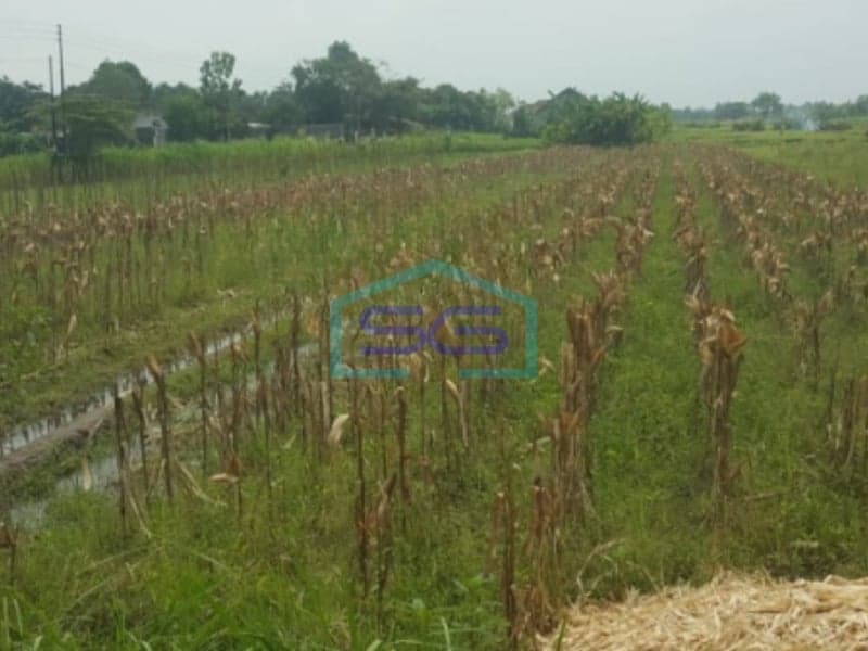 Dijual Tanah di jl Manisrenggo Prambanan Klaten, Jawa Tengah LT 1850m2