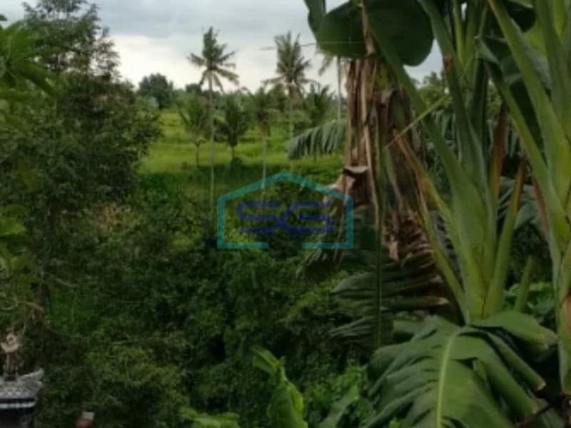 Land for Sale in Abianbase Gianyar Bali Land Area 1400sqm