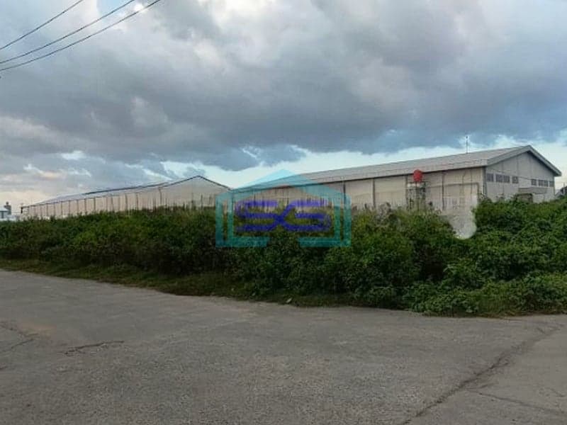 Disewakan Tanah di Pergudangan Pattene Luas Tanah 5000 m² Makassar