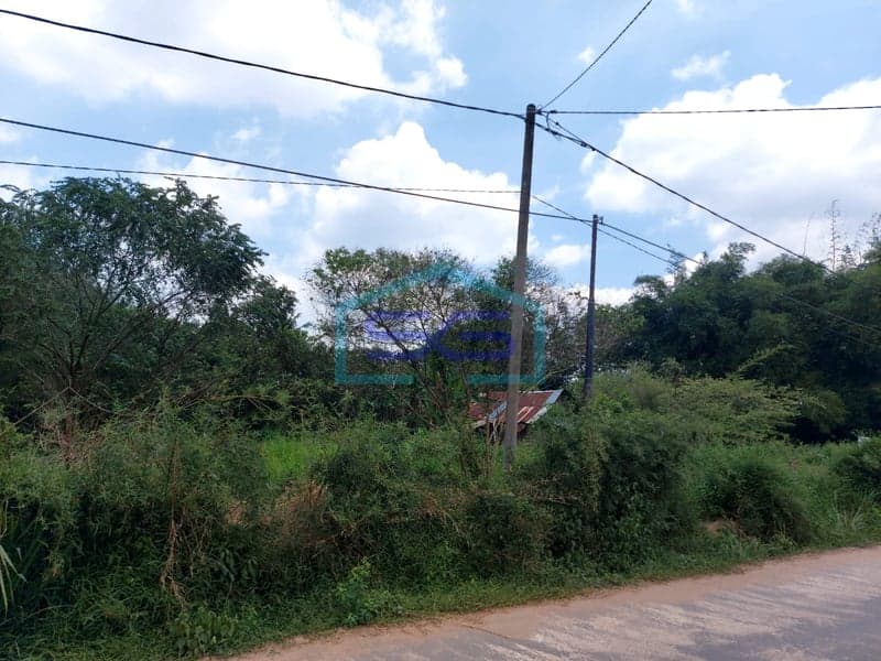 For Sale: Spacious Land 6000m² in Banyuasin, South Sumatra