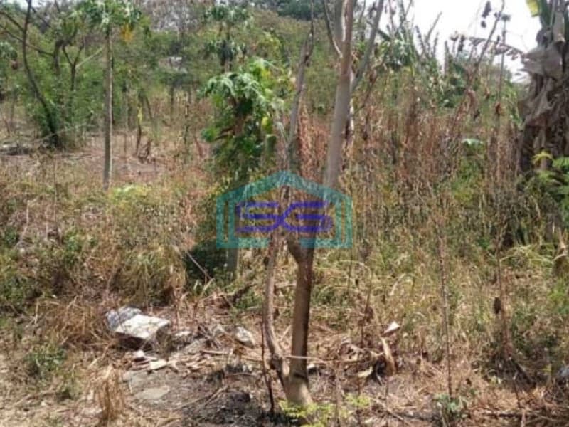 Dijual Pabrik Akses Container 40 Feet Luas Tanah 23936 m2 Lokasi Narogong Bekasi