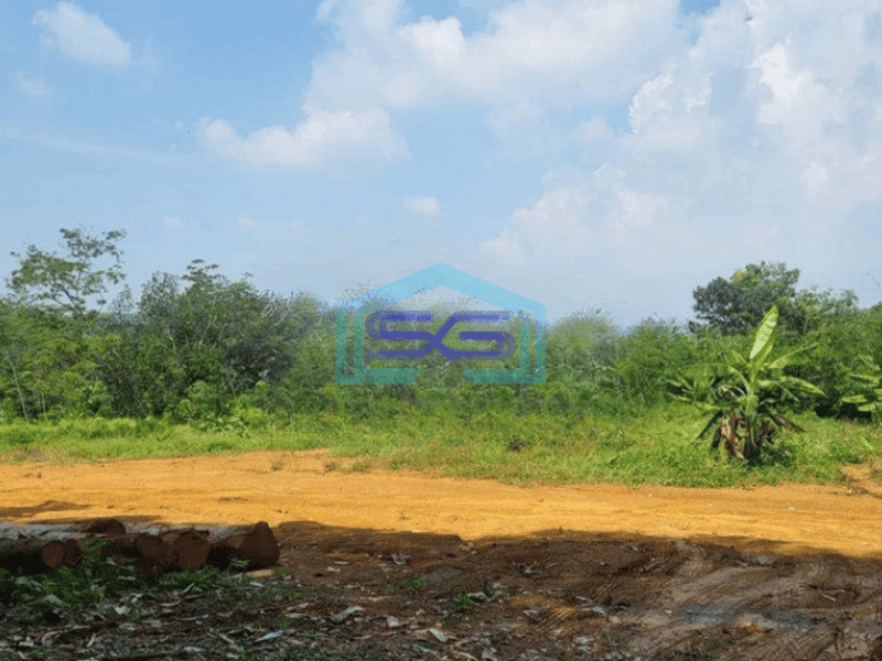 Dijual Tanah di Jatibarang Mijen Semarang Luas Tanah 1733m2 Bebas Banjir