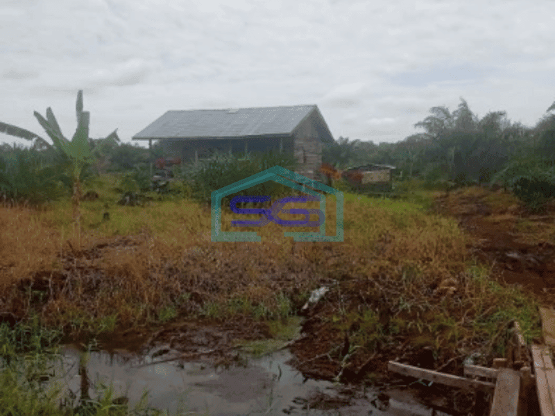 Dijual Tanah Kebun Sawit 263Ha Di Pelalawan Riau