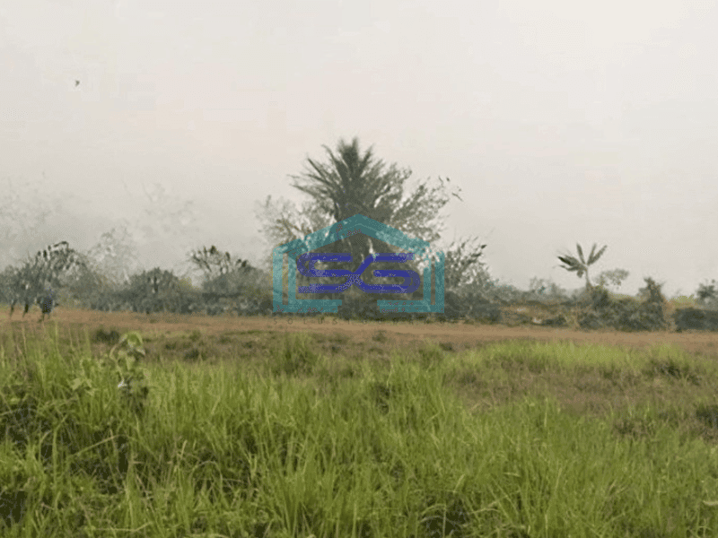Dijual Tanah Lokasi Parung Panjang Bogor