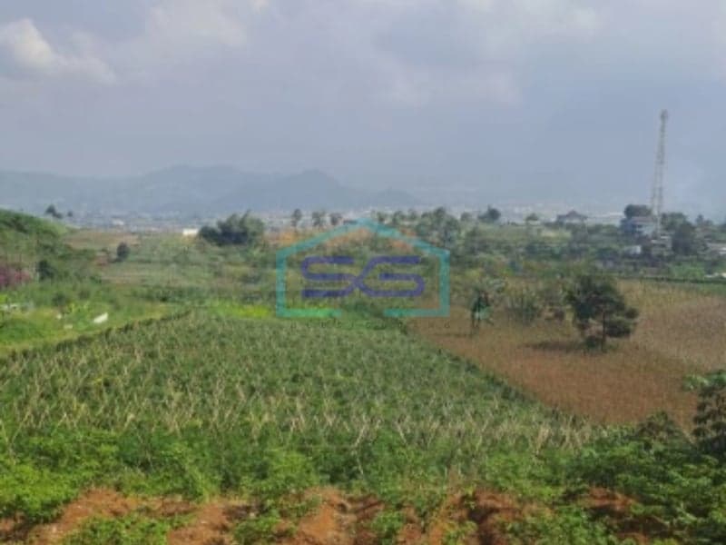 Dijual Tanah Lahan Bagus Sukaresmi Cianjur Luas Tanah 220000m2