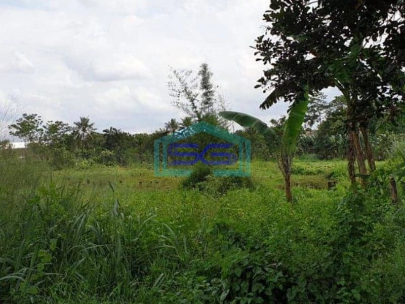 Dijual Tanah di Daerah Industri Pergudangan Gunung Sindur Bogor LT 11000m2