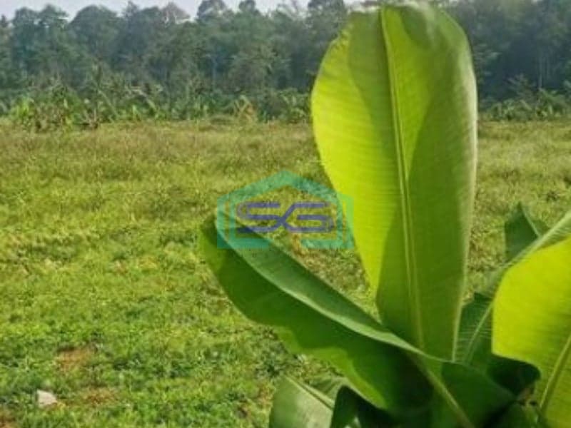 Dijual Tanah Strategis Di Zona Industri KPI Bergas Semarang LT 420000m2