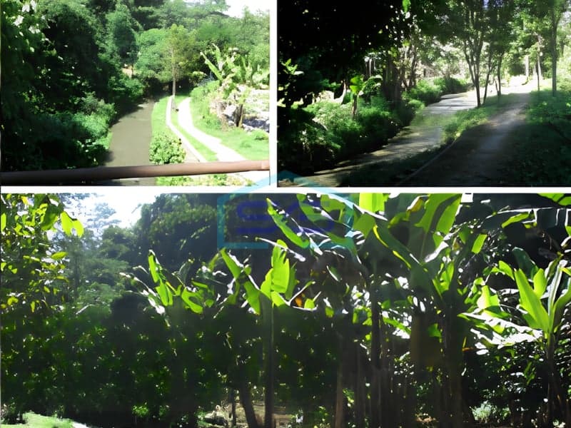 For Sale: Spacious Land Suitable for Business Development in Lembang, Bandung, West Java - Land Area 3165 m²
