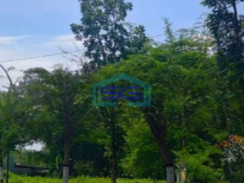 Dijual Tanah Luas 3000 m² Lokasi Strategis di Batu Jawa tengah