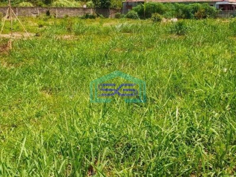 Dijual Tanah di pinggir Jalan Raya Cibadung Gunung Sindur Bogor LT 5568m2