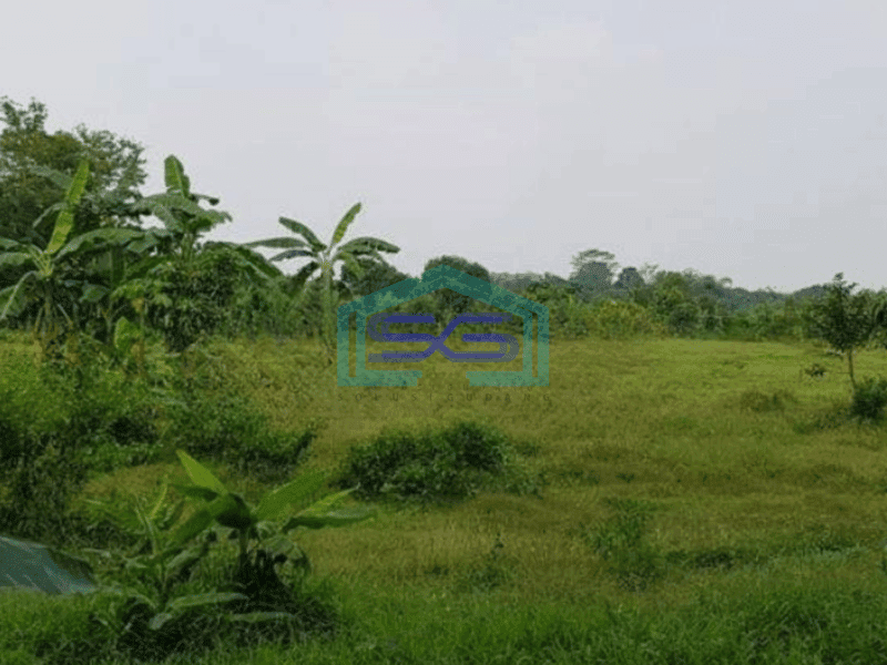 Dijual Tanah di Rumpin Bogor Luas Tanah 4011 m²