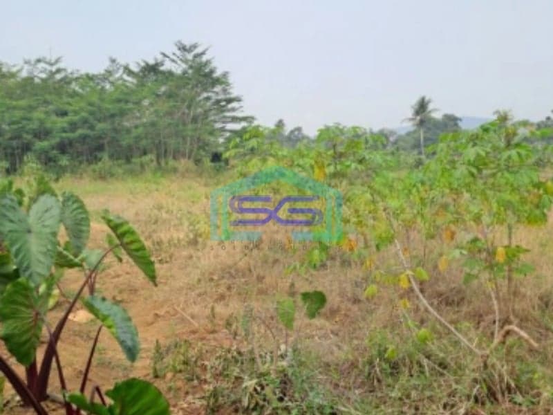 Dijual Tanah Kontur Datar Kemang Pabuaran Bogor Luas Tanah 30000m2