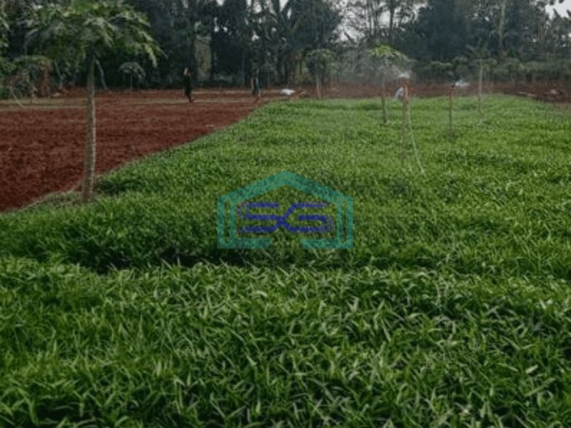 Dijual Tanah cCocok Untuk Industri Kecil, Masuk Truk di Gunung Sindur Bogor LT 2000m2