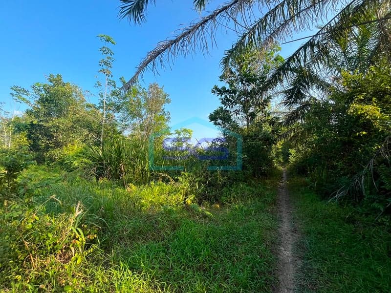 Dijual Lahan Strategis di Kota Palembang, Sumatera Selatan Luas Tanah: 9.437 m²