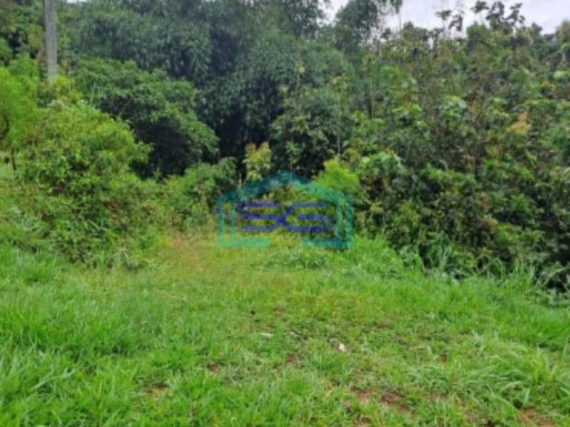 Dijual Tanah Pasir Angin Lahan Bagus di Megamendung Bogor LT 3000m2