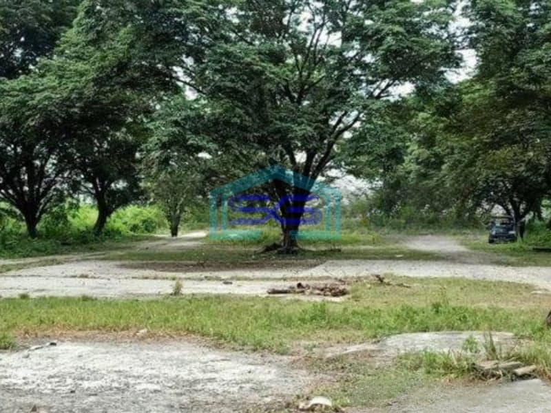 Dijual Cepat Tanah di Cilegon Serang Banten LT 7 Ha Dekat Pintu Tol