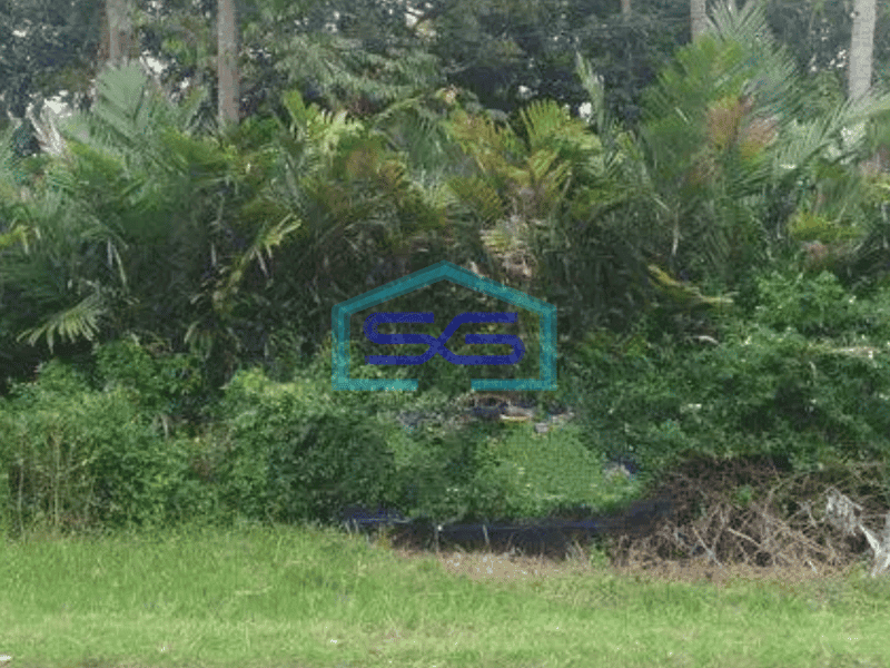 Dijual Tanah bagus di jumantono, arah ke tawangmangu