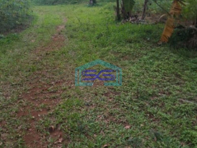 Dijual Tanah Lokasi Strategis Di Leuwiliang Bogor Luas 50000m2 Bebas Banjir