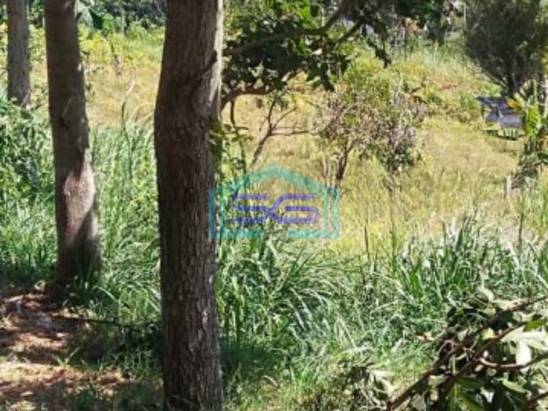 Dijual Tanah Lokasi di Cilengkrang Cileunyi Bandung Luas Tanah 2045m2