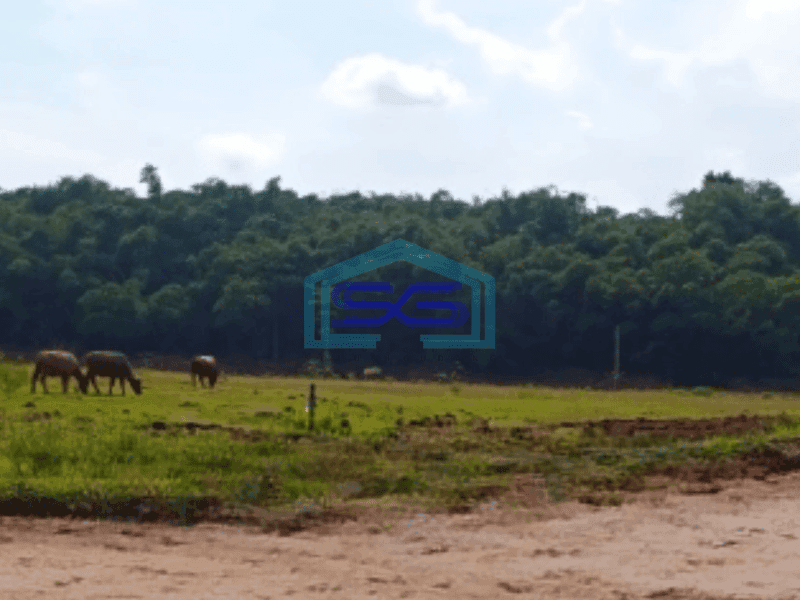 Dijual Murah Tanah Industri Luas 7000 m² di Cikupa Tangerang