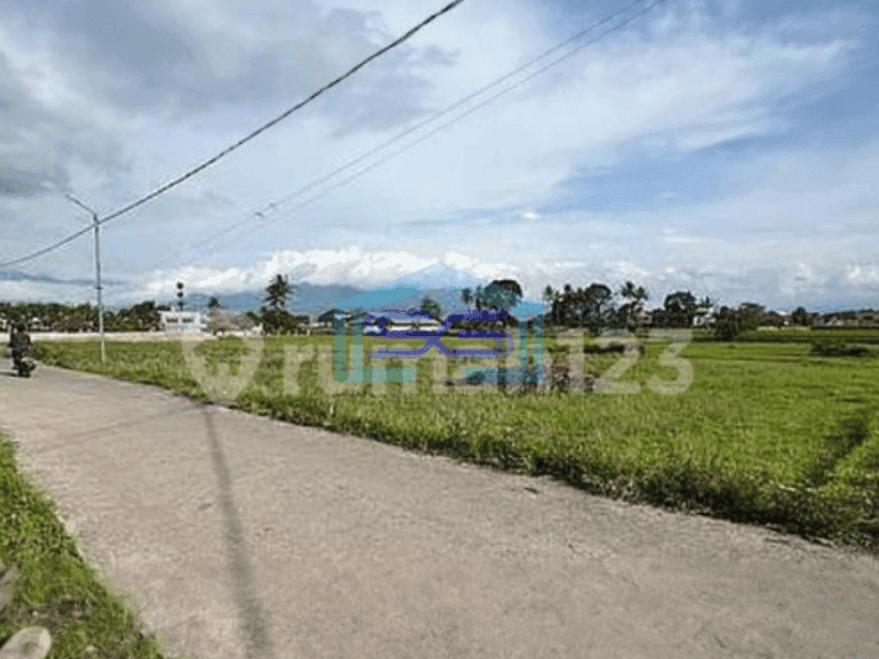 Dijual Tanah Garut Banyuresmi Luas Tanah 3202 m²