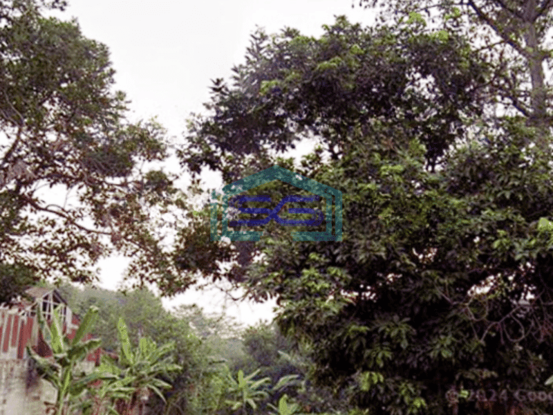 Dijual Tanah Sentul City Bogor Luas 2184m2 Desa Cipambuan Untuk Pabrik Dan Gudang