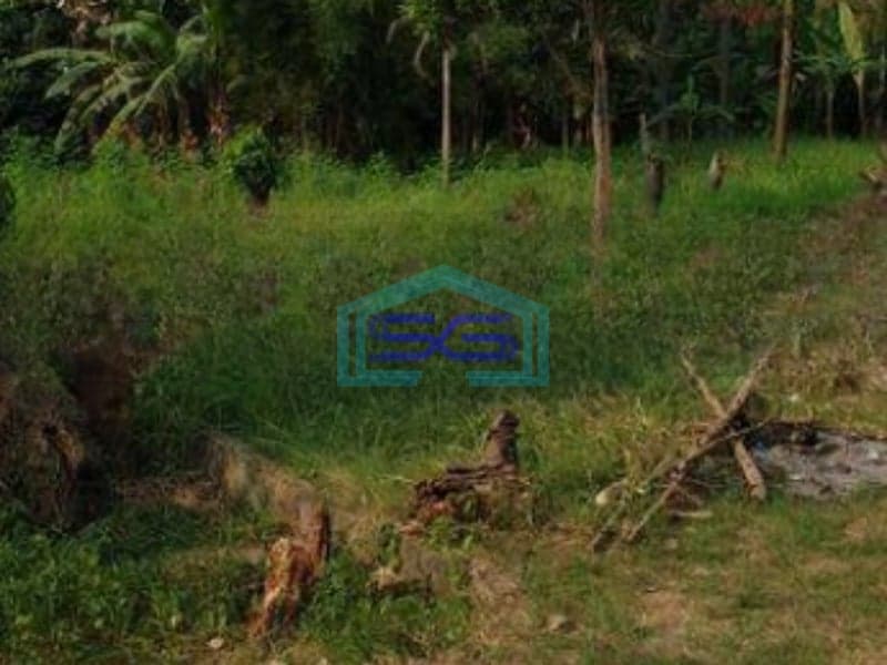Dijual Tanah di daerah Ciputat Pamulang Tangerang Selatan LT 8000m2