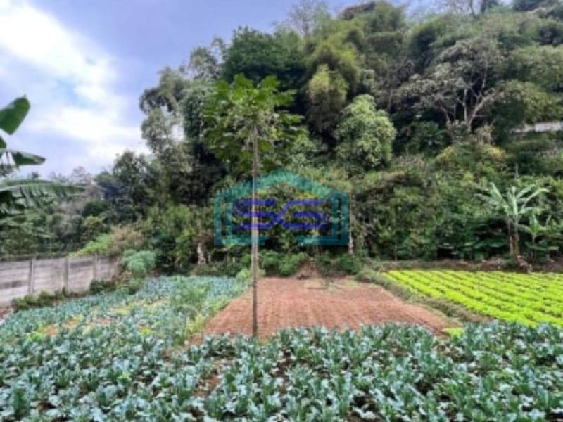 Dijual Murah Tanah Ciwaruga Parongpong Bandung Utara LT 1768m2