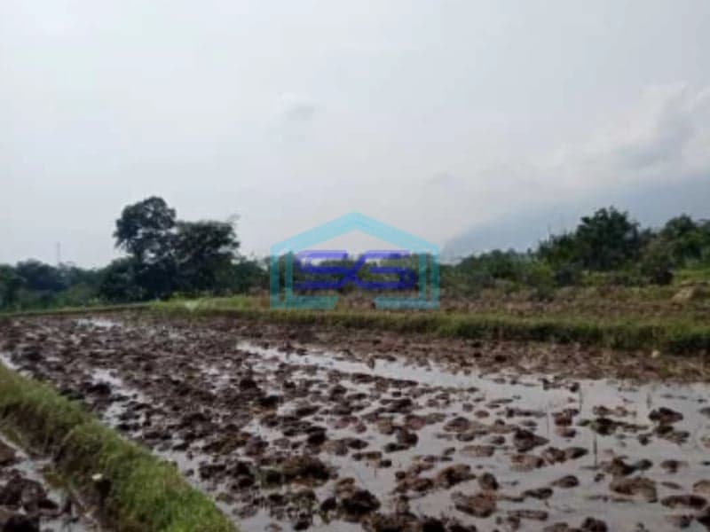 Dijual Tanah Di Ciampea Udik Bogor Dengan Luas 50000m2