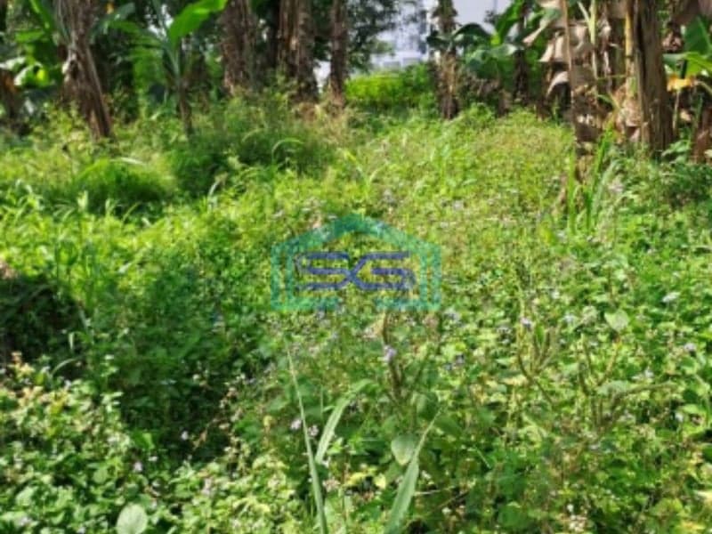 Dijual Tanah Di Pinggir Jalan Sentul City Bogor Luas Tanah 15000m2