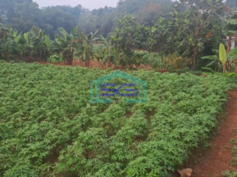 Dijual Tanah Bojong Kopasus Kemang Bogor Luas Tanah 3000m2