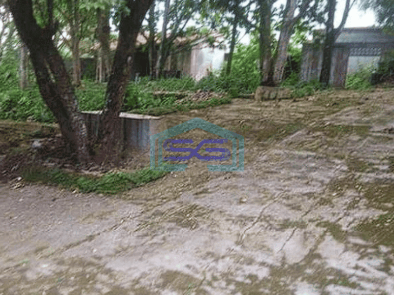 Dijual Tanah Murah Pinggir Jalan Utama Parung Panjang Bogor Jawa barat LT 8538m2