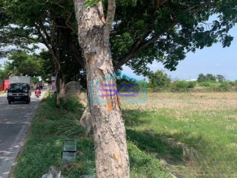 Dijual Tanah Kawasan Industri Lokasi Colomadu Solo Luas 3,2 Ha