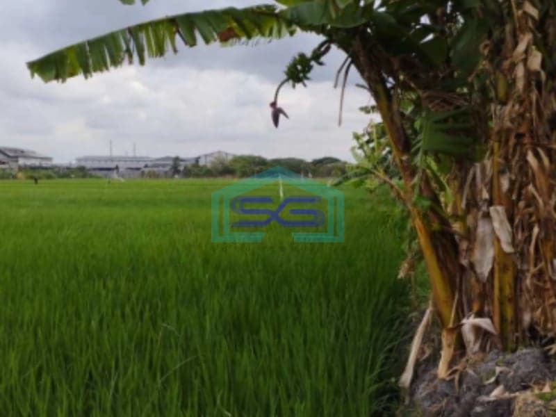 Dijual Tanah Industri Di Bambe, Driyorejo, Gresik, Jawa Timur Luas Tanah 5030 m²